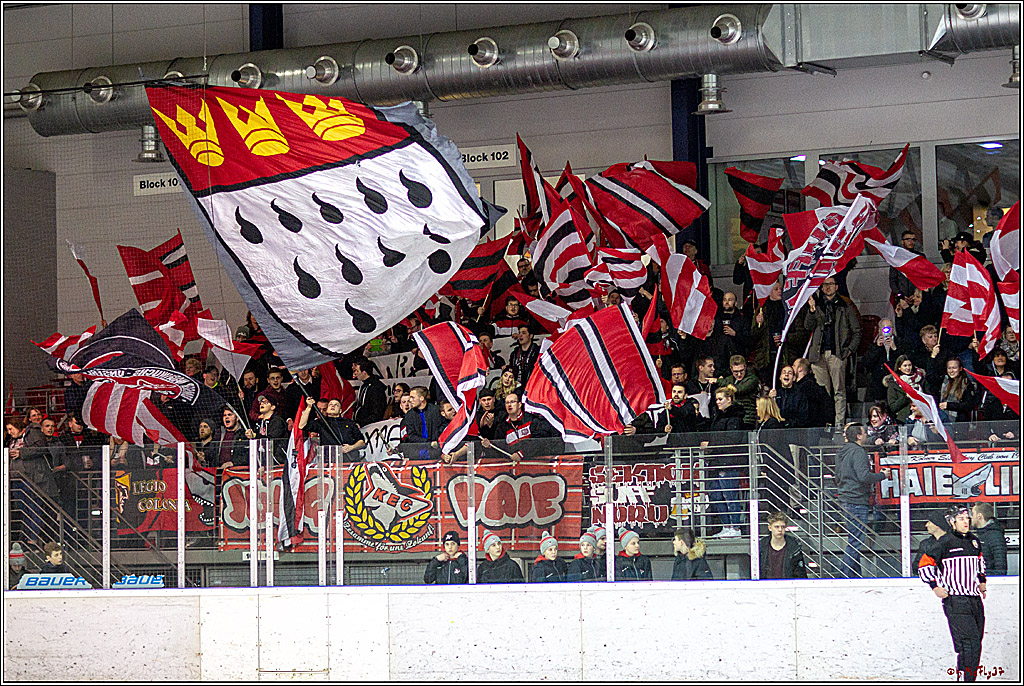 DNL-Playofffinale; Junghaie Koeln - Jungadler Mannheim, 20.03.2019